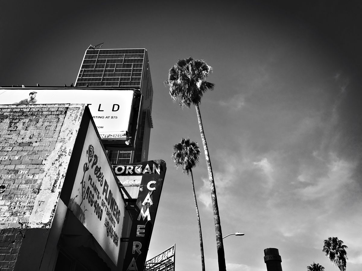Hollywood