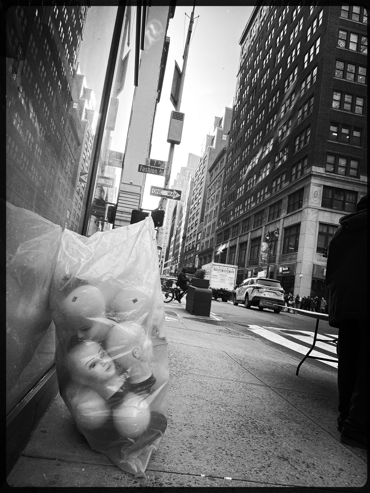 NYC Heads