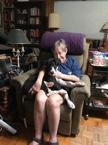 Owner Joy and baby SD Clauetile
