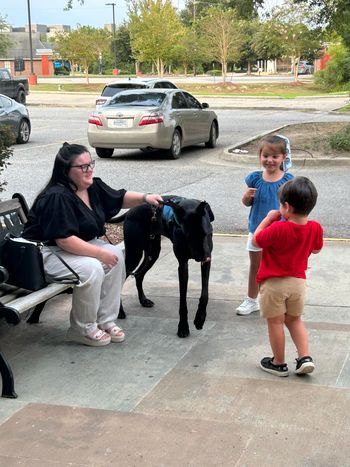 SDIT Cinder and Grayson training with new friends to help!
