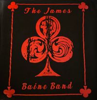 The James Baine Band LIVE at Wild Wing Dawsonville, Ga.