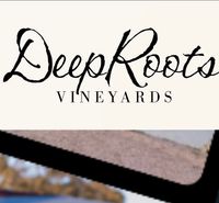 Summer Wine with The Elev8tors!