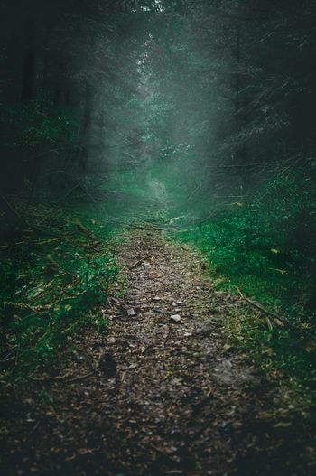 Mystic Valley
