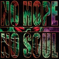 NO HOPE - NO SOUL RELEASE DAY! 