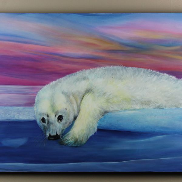 Baby Seal Taking a Dip in Snow Covered Water 