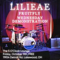 Wednesday Demonstration with LILIEAE