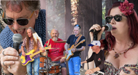 Redwood Groove