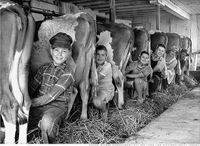 Belknap County Fair 2026!