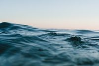 Weekly Worship Service-Special Baptism Service