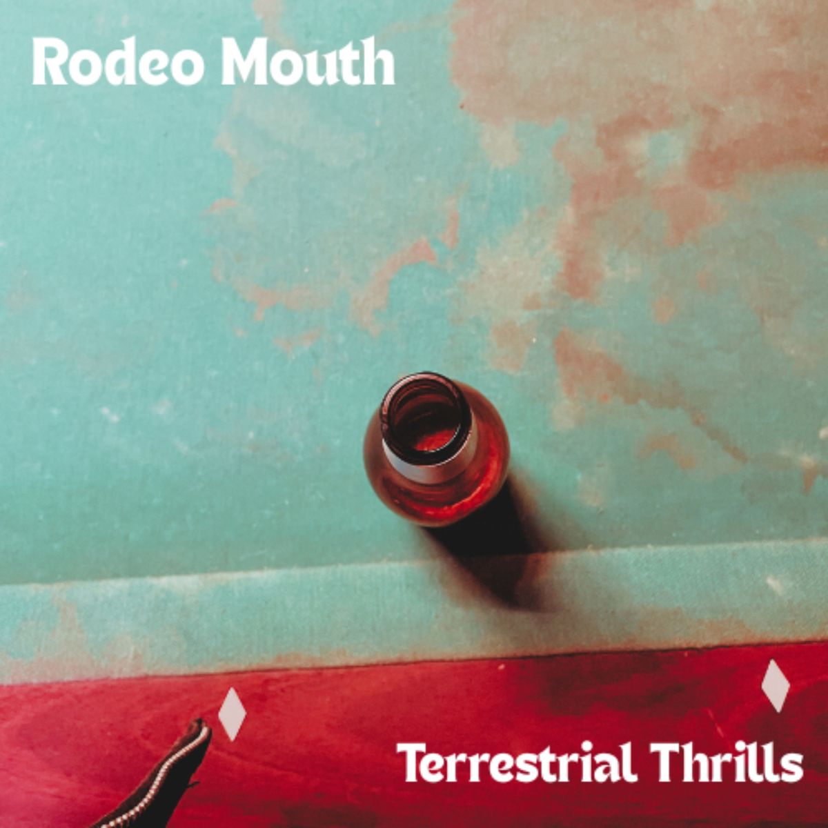 Terrestrial Thrills - CD