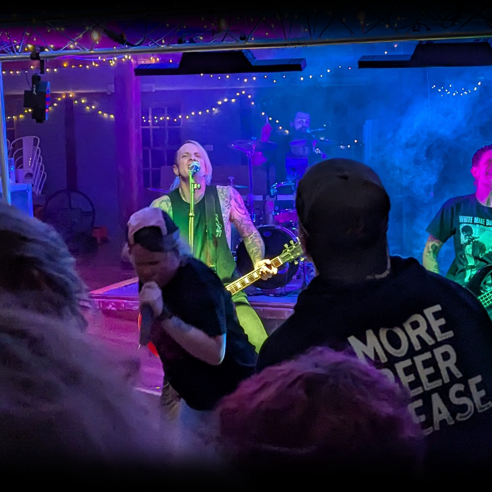 The Pingers Band Punk Sound Hire PA Lighting