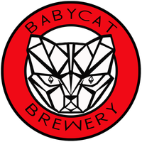 O'McPub Band at Babycat Kensington