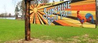 The Whiskey Dogs Jam on the Lake at Sunshine Ridge