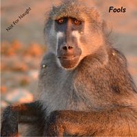 Fools by Not For Naught