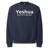 Unisex Oversized Heavyweight Sweatshirt | Bella + Canvas 4711