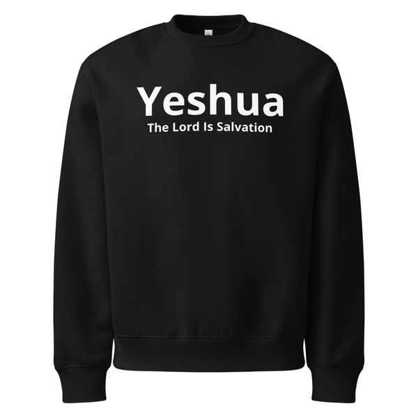 Unisex Oversized Heavyweight Sweatshirt | Bella + Canvas 4711