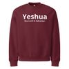 Unisex Oversized Heavyweight Sweatshirt | Bella + Canvas 4711