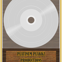 Platinum Plakkz Productions Beats 4 Sale 2024 by Platinum Plakkz Productions