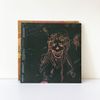 MIRAGE ON THE MEADOW LP - Vinyl