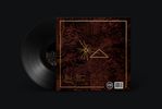 THE ACCHIN BOOK LP - Vinyl