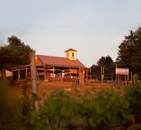 Public Scene drinking wine with the best of them