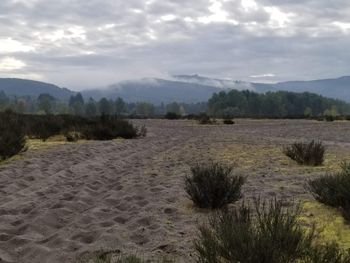 Camelot park in Castle Rock, WA
