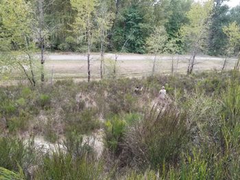 the brush was thick!
