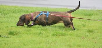 on the hunt!
