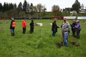 Winlock, WA
