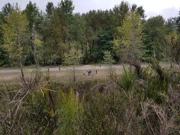 view from the brush
