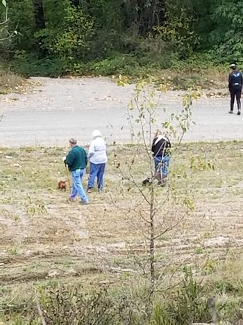 judges watching dogs on the line
