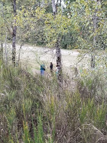 Camelot Park in Castle Rock, WA
