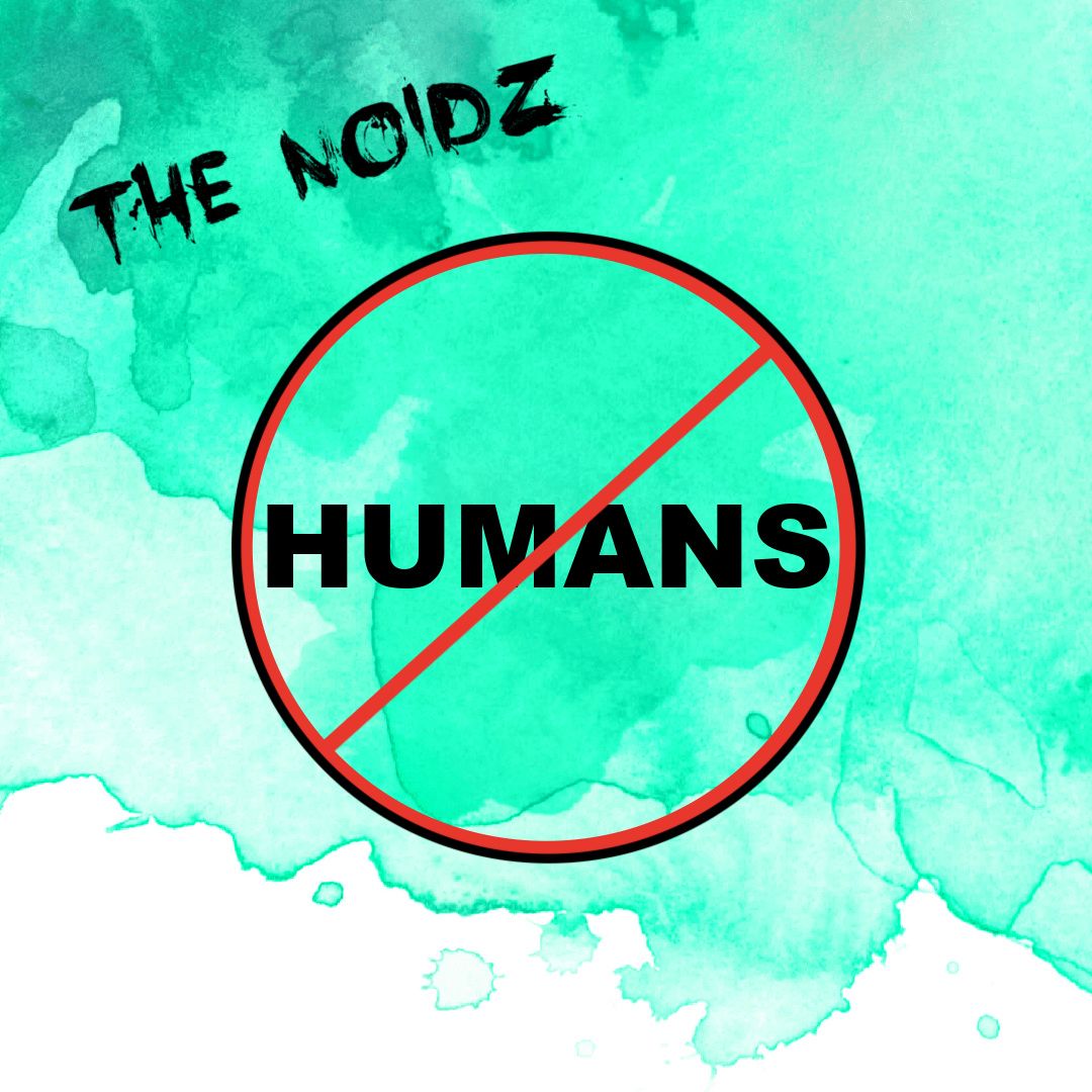 THE NOiDZ - Vinyl