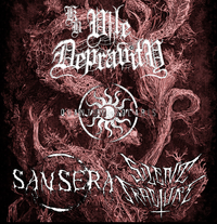 Vile Depravity Vol.5