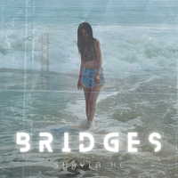 Bridges by Shayla He