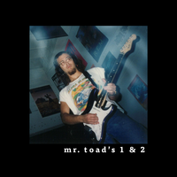 Mr. Toad's 1 by Sativa Blue