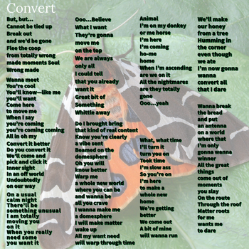 Convert Lyrics
