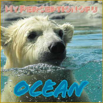 Ocean_Track 4: Ocean
