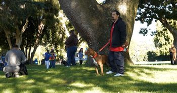 Man's best friend.
