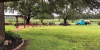 Lochness Rockers at Fiesta Vineyard & Winery (Lometa)