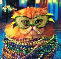 Fat Tuesday in St. Helena!