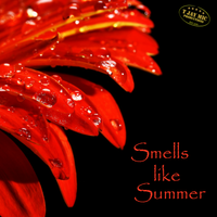Smells like summer by T Jay Mic