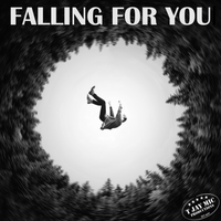 Falling for you by T Jay Mic