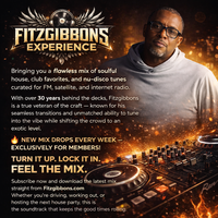 In The Mix with FITZGIBBONS by Soulful House, Deep House & Nu-Disco,