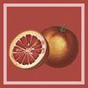 [Presale Bundle] Vinyl + Download + Sticker