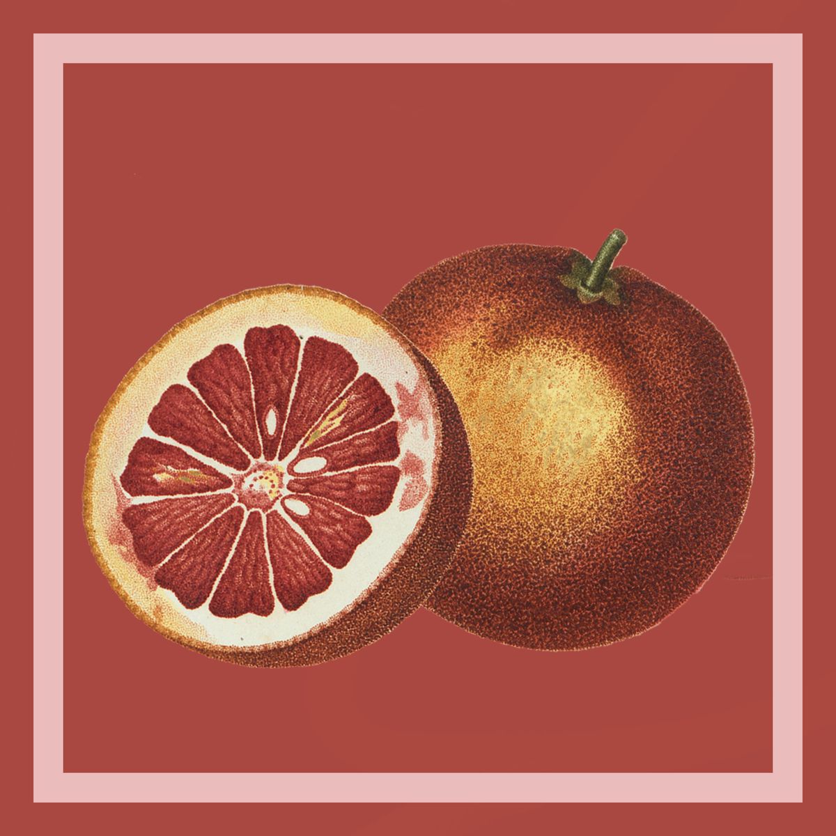 [Presale Bundle] Vinyl + Download + Sticker