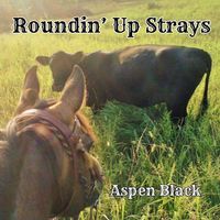 Roundin' Up Strays by Aspen Black