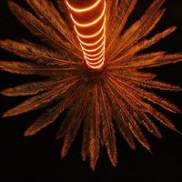 SKOR show - Private 4th of July Party