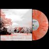 Middle Of Nowhere - Vinyl