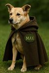 Aristocratic Feather Hats for Dogs